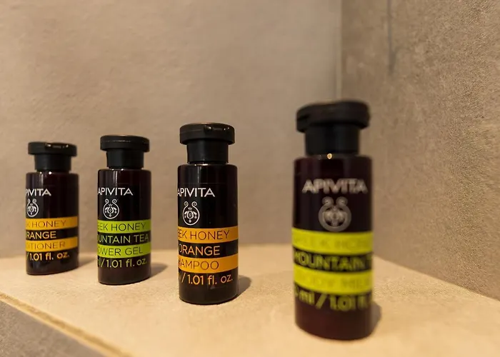 酒店 尼姆菲斯酒店 3*