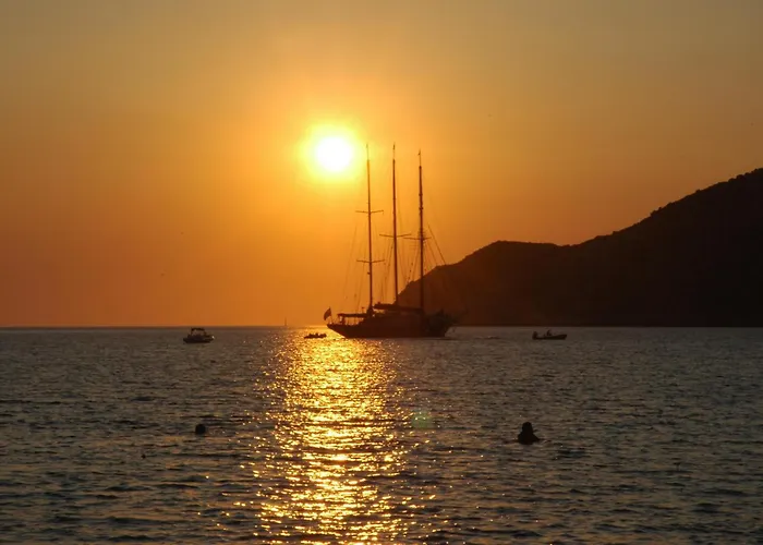 酒店 尼姆菲斯酒店 3*